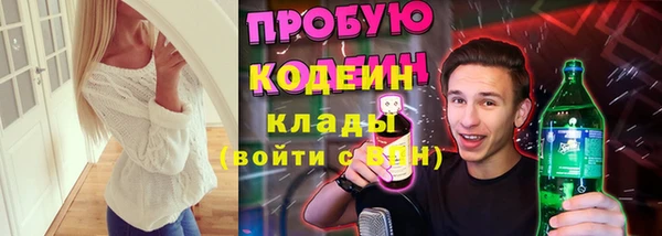 стаф Арсеньев