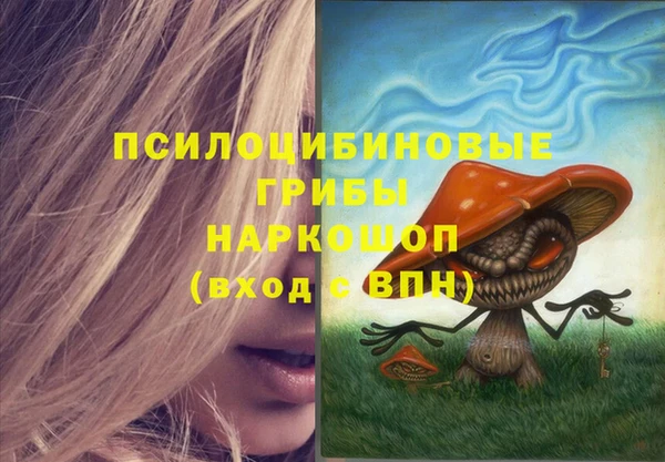 стаф Арсеньев
