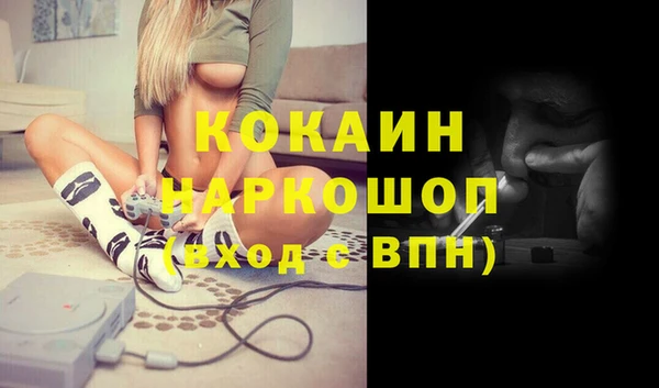 стаф Арсеньев