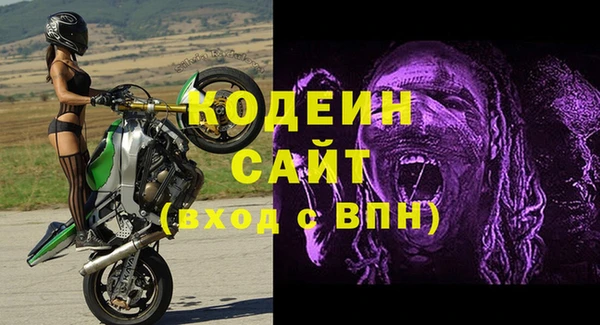 стаф Арсеньев