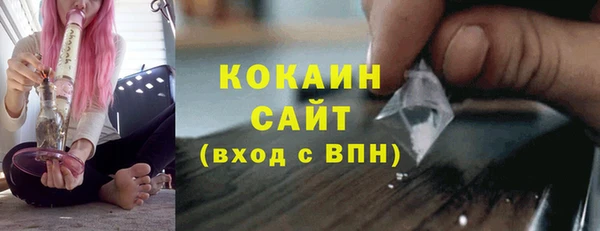 стаф Арсеньев
