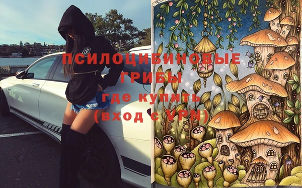 стаф Арсеньев