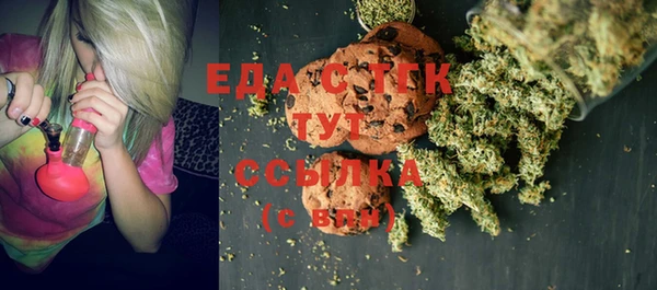 стаф Арсеньев