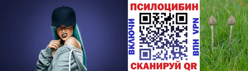 Псилоцибиновые грибы MAGIC MUSHROOMS  Рошаль 