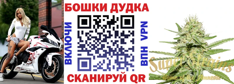 Шишки марихуана MAZAR Рошаль